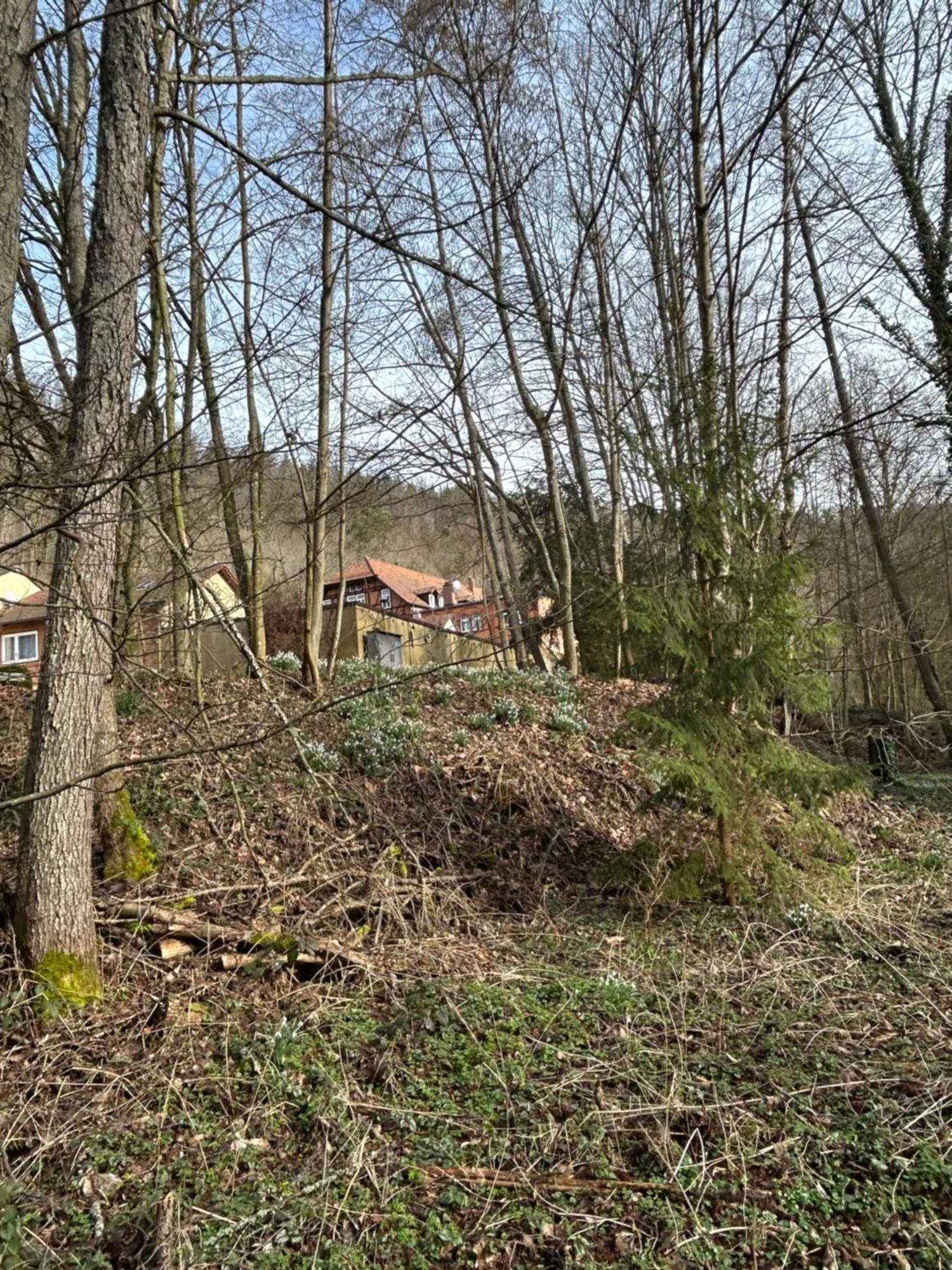 Villa Am Fluss Пфорцхайм Екстериор снимка