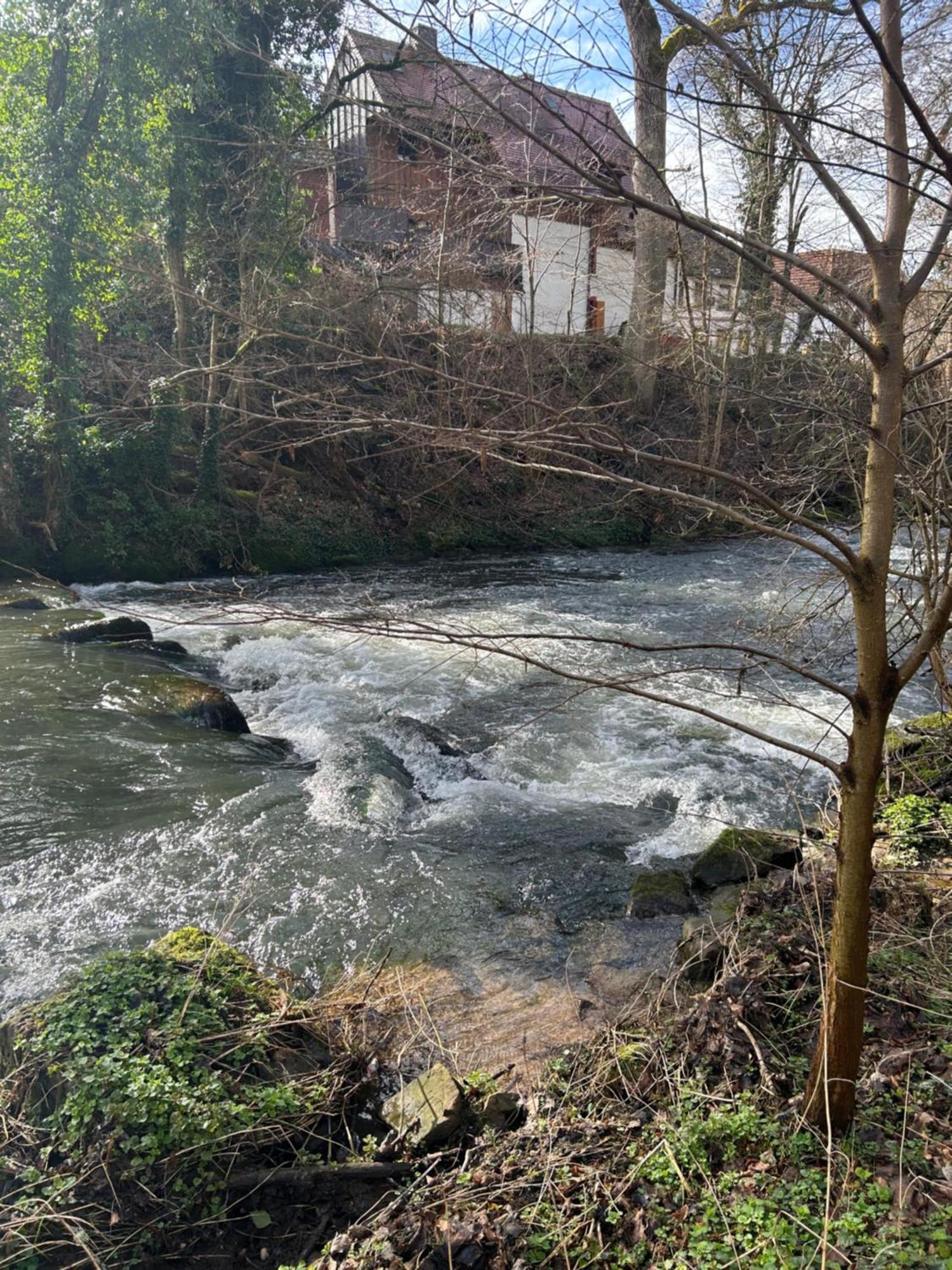 Villa Am Fluss Пфорцхайм Екстериор снимка