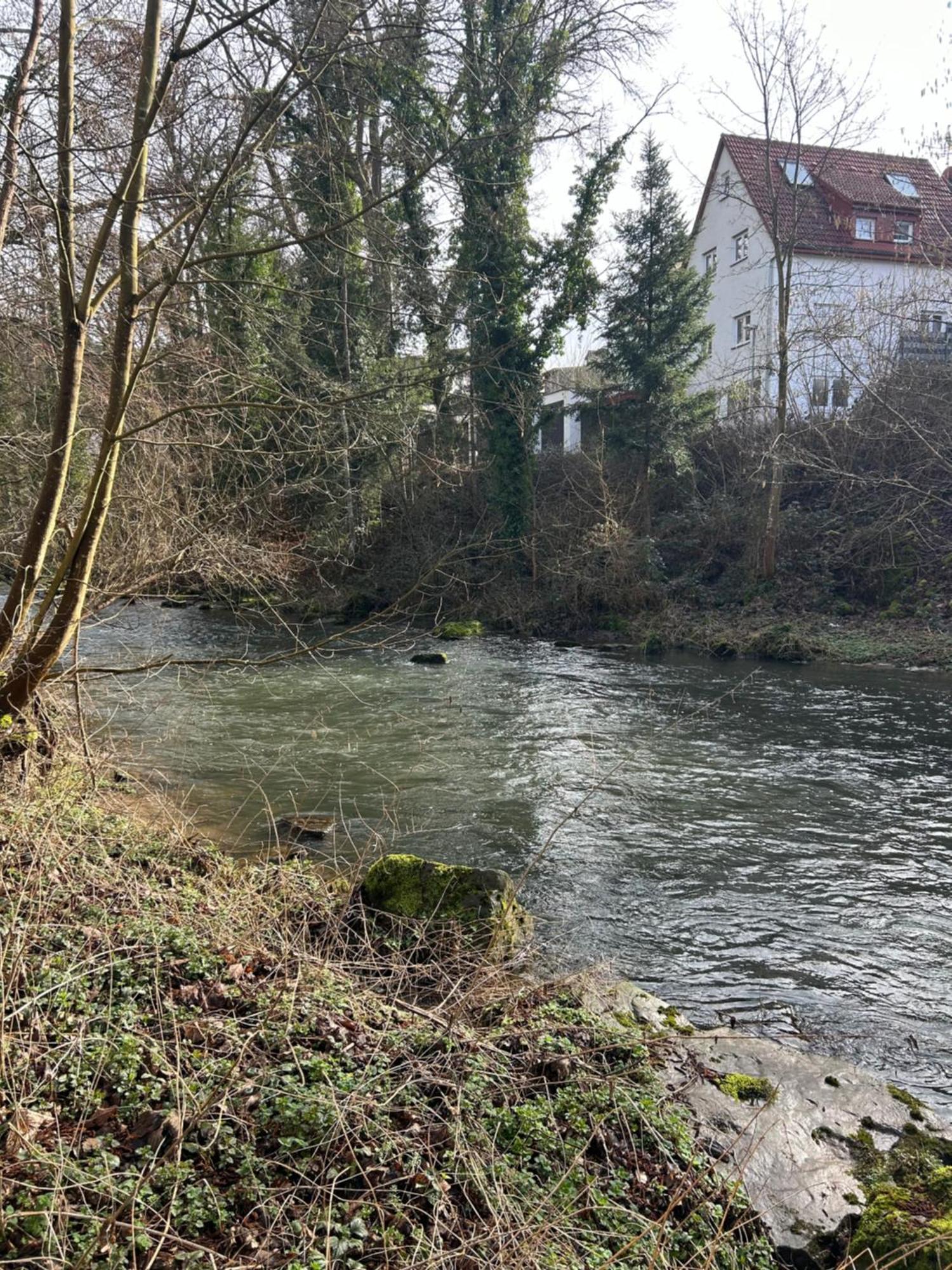Villa Am Fluss Пфорцхайм Екстериор снимка