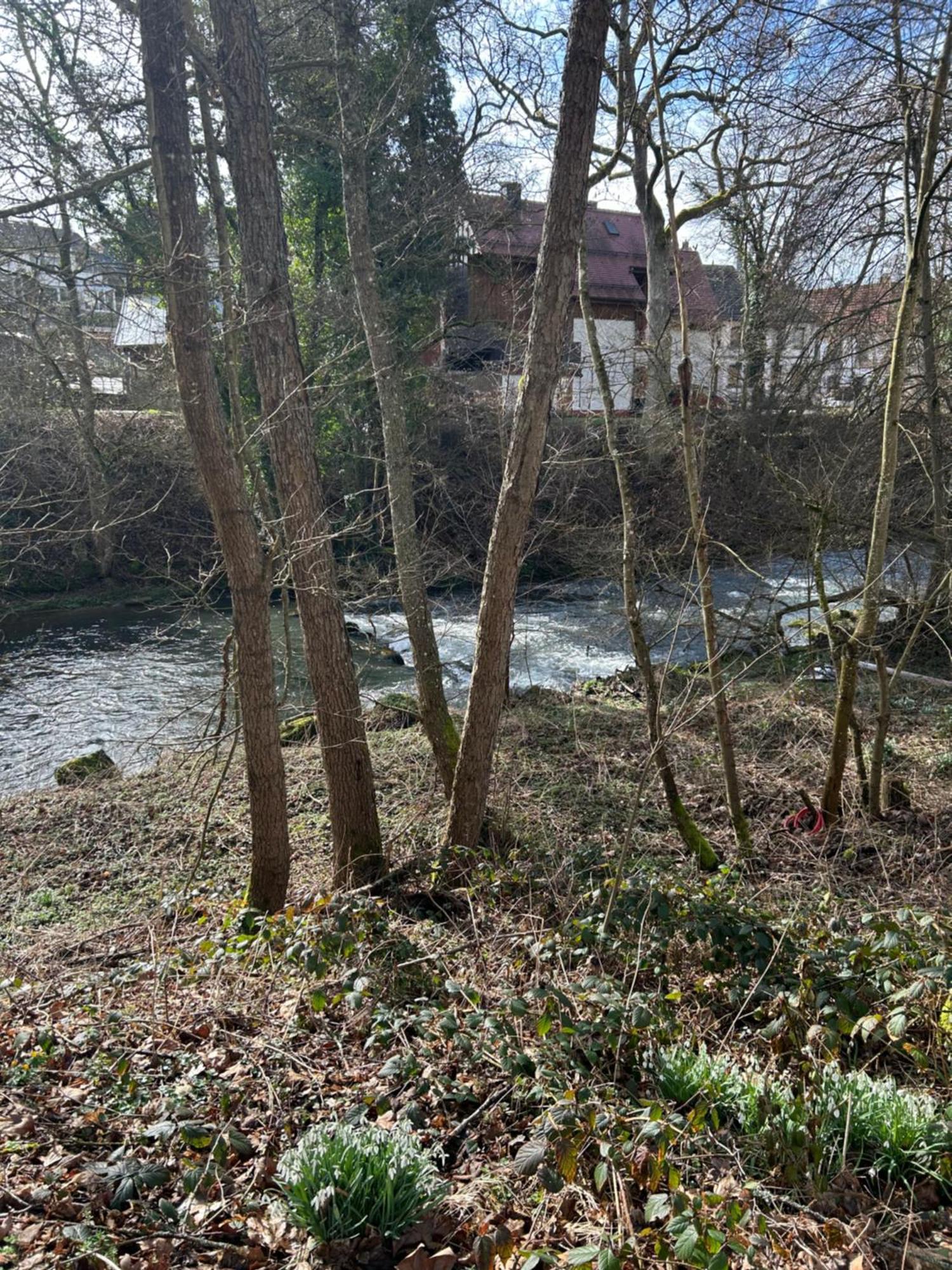 Villa Am Fluss Пфорцхайм Екстериор снимка