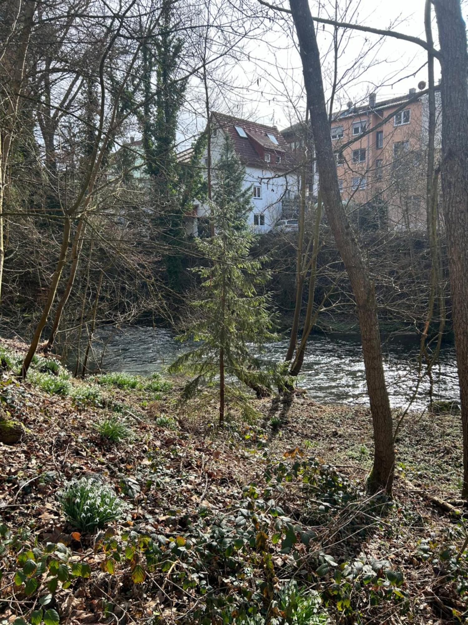 Villa Am Fluss Пфорцхайм Екстериор снимка